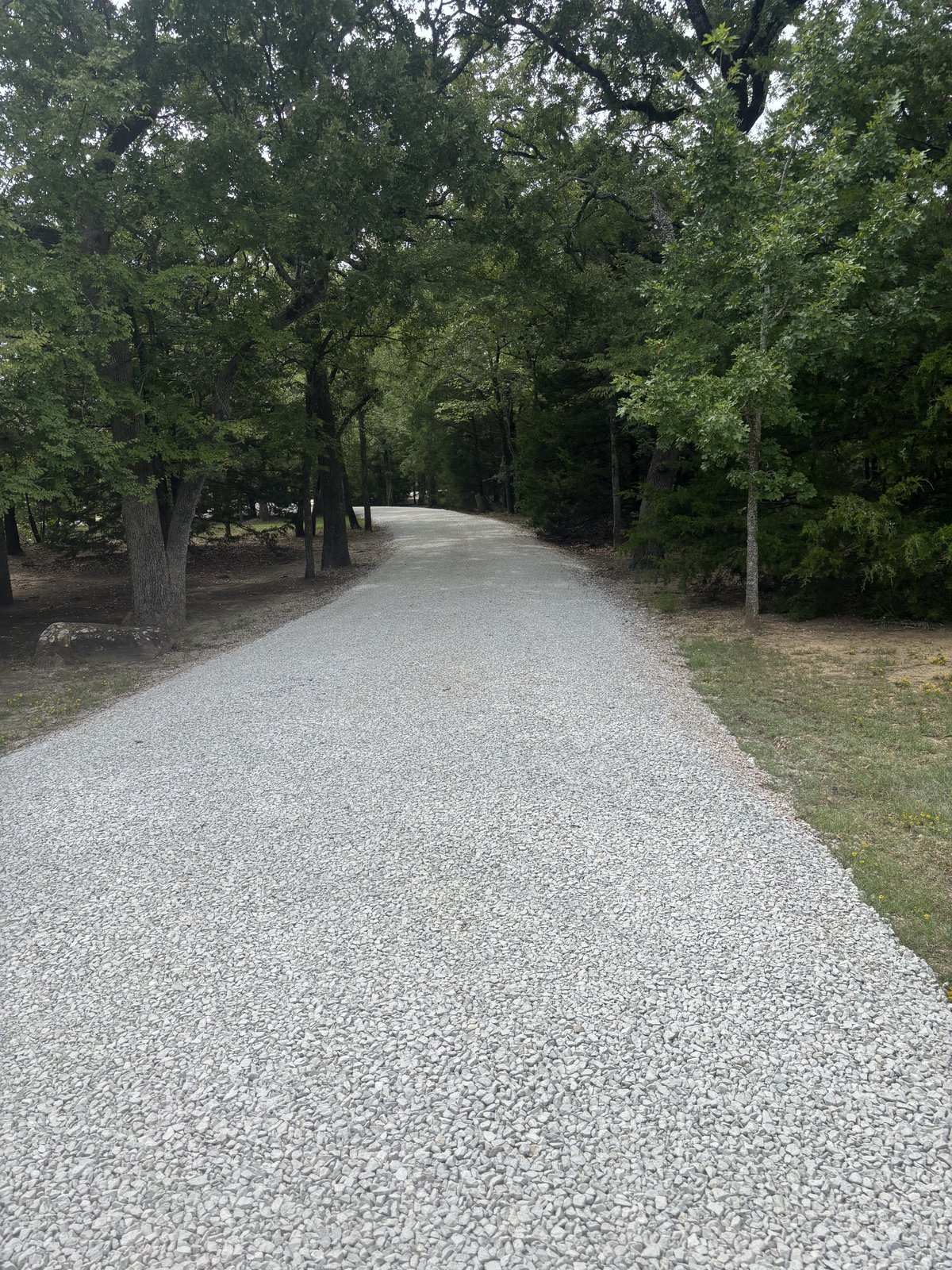 Long compacted gravel driveway winding through woods
